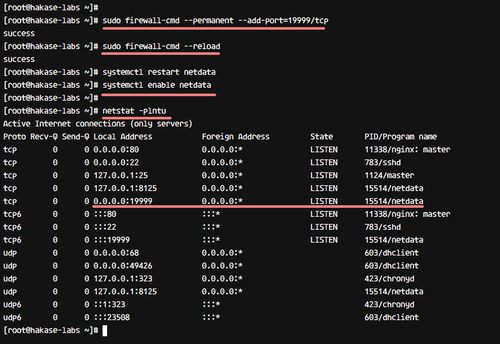 Check network port