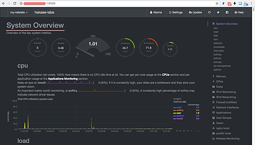 Netdata System Overview