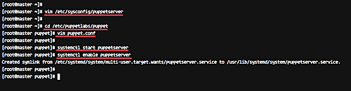 Configure puppetserver