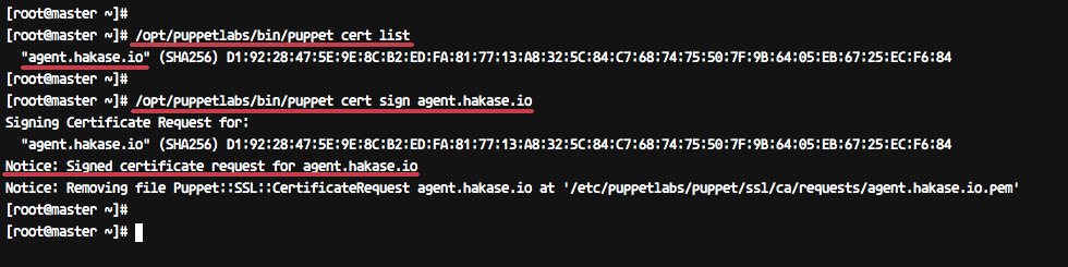 Configure puppet agent