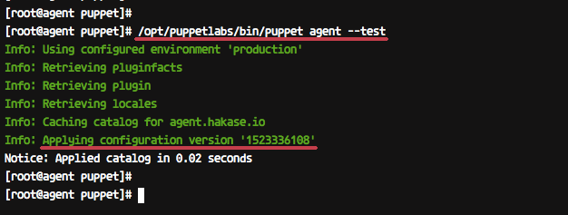 Verify puppet agent configuration