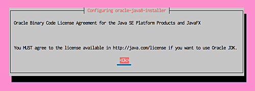 oracle-java8-installer