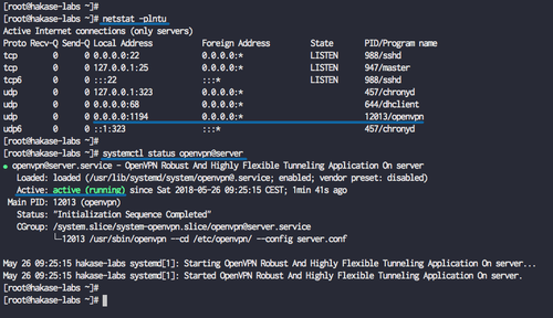 Check OpenVPN server status