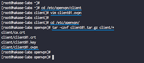 OpenVPN Client Setup