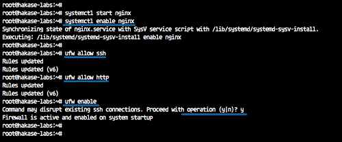 UFW Firewall Configuration