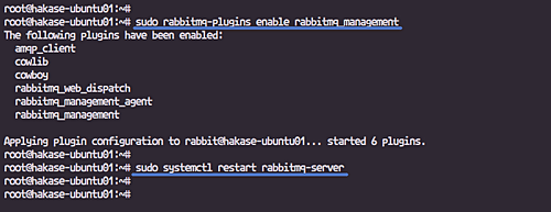 Enable RabbitMQ Management Plugins