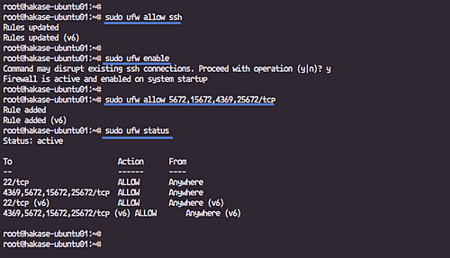 Setup UFW Firewall