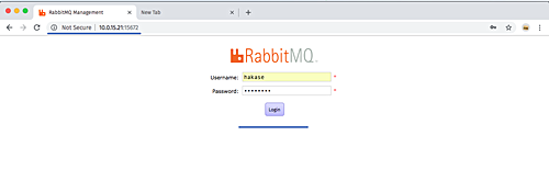 Login to RabbitMQ