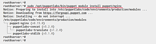 Download Nginx Puppet Module