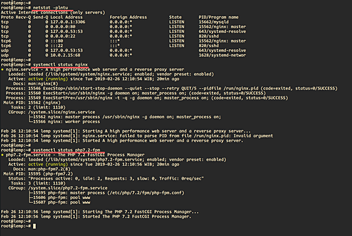 Nginx and php-fpm status