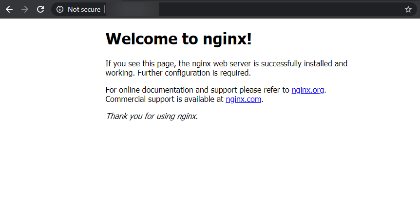 Nginx Default Page