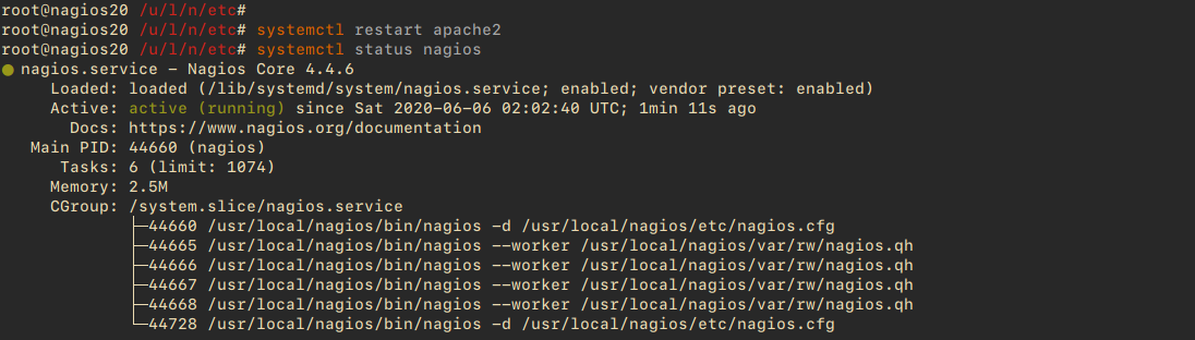 Check Nagios Service