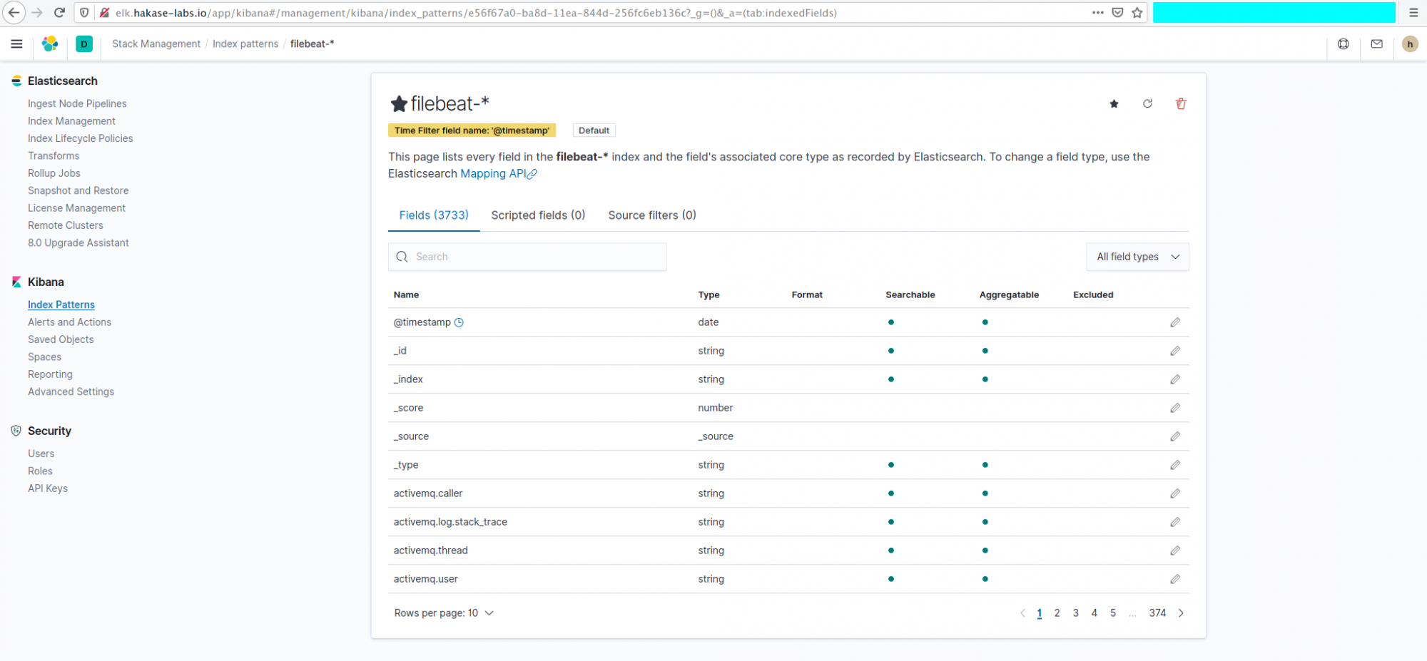 Filebeat Index Pattern Created