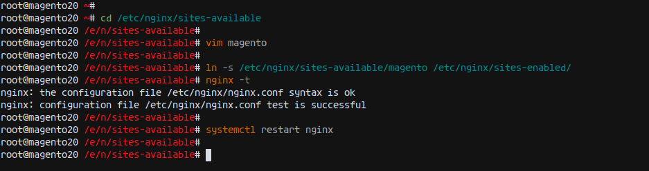 Setup Nginx virtualhost for Magento