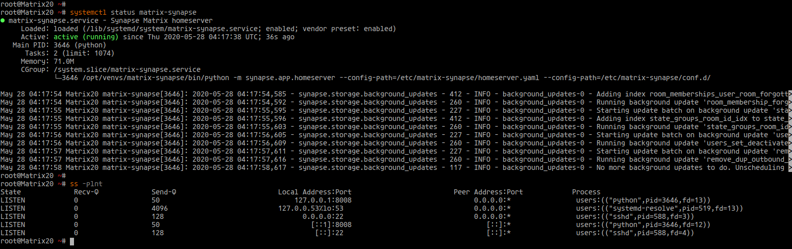 Check Matrix Synapse service status