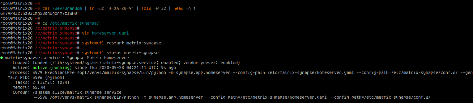 Configure Matrix Synapse