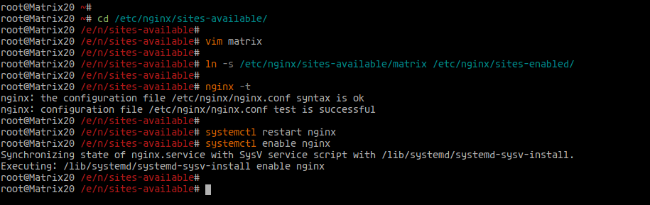 Setup Nginx as a Reverse Proxy for Matrix Synapse