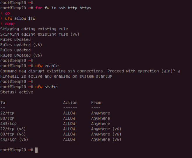 Open HTTP and HTTPS port UFW Firewall