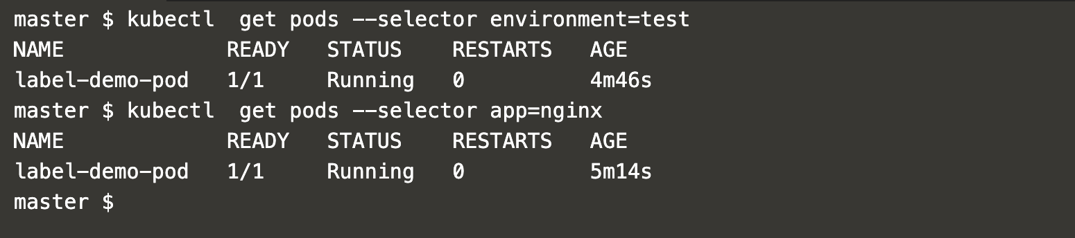 get-pods-with-matching-labels