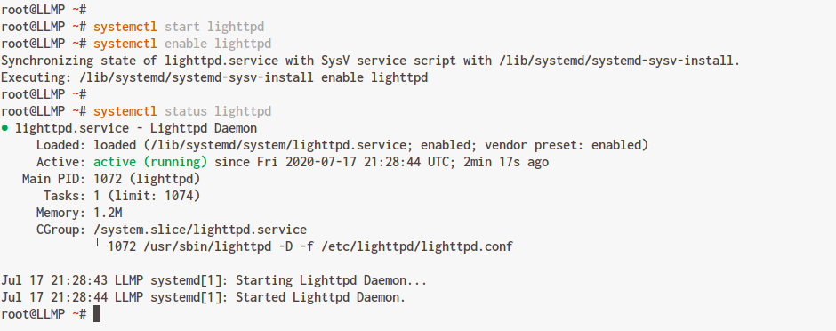 Start Lighttpd Webserver Service