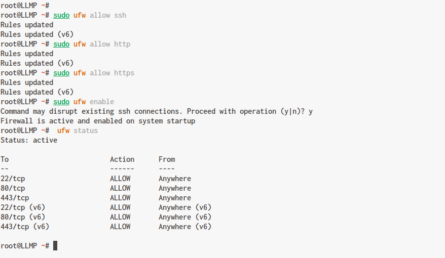 UFW firewall open HTTP and HTTPS ports