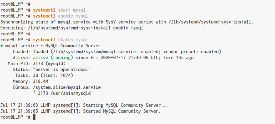 Start MySQL Service