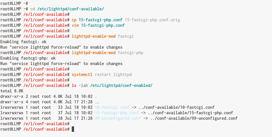 Enable FastCGI and FastCGI PHP Lighttpd