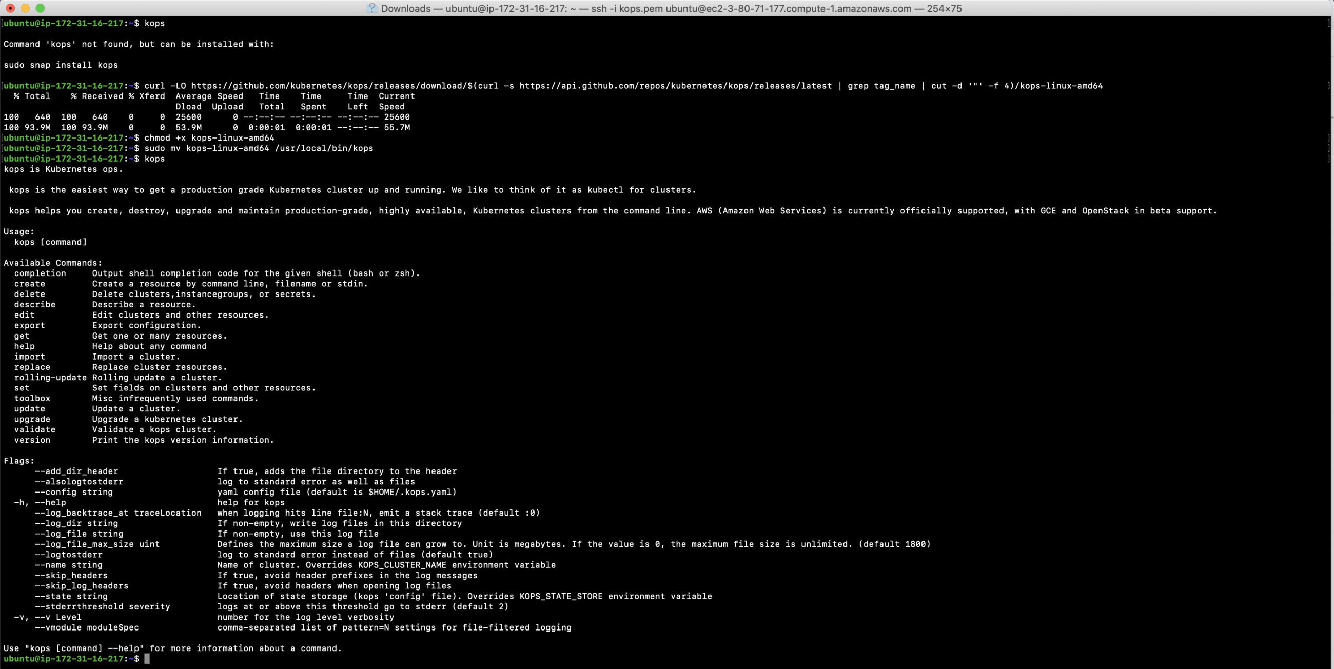 Install Kops on the EC2 instance
