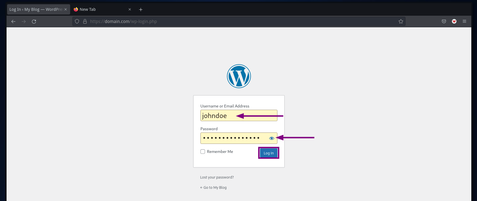 WordPress Login Page