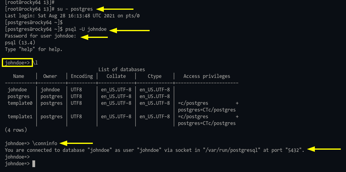 Connect to PostgreSQL shell with johndoe user