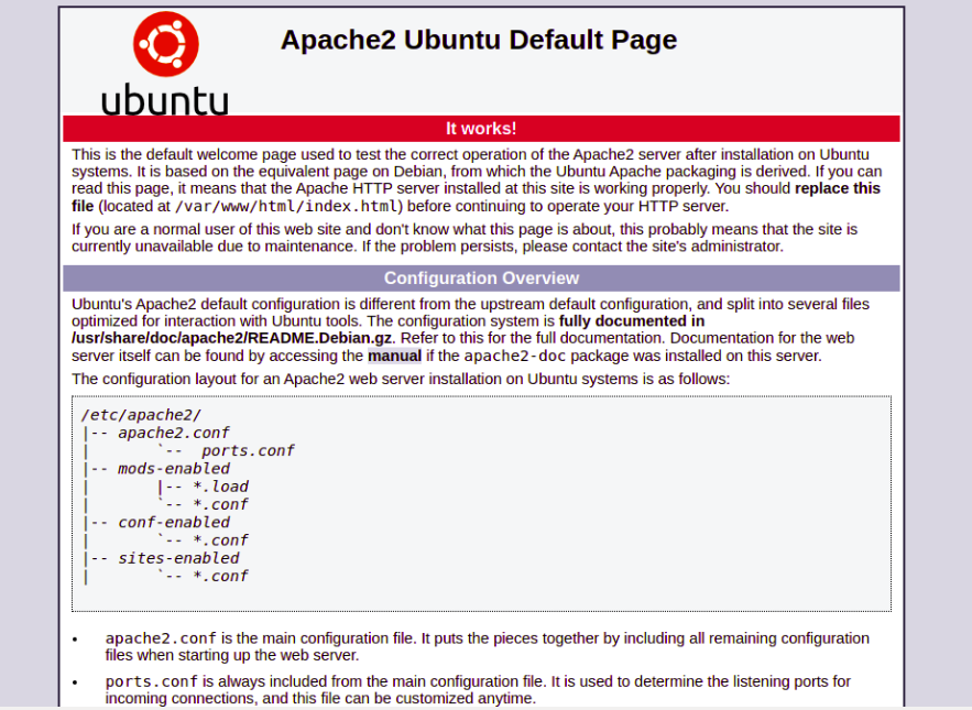 Nginx reverse proxy