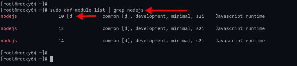 Check Node.js repository module Rocky Linux