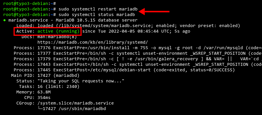 Checking MariaDB service