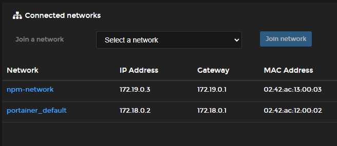 Portainer Connected to NPM