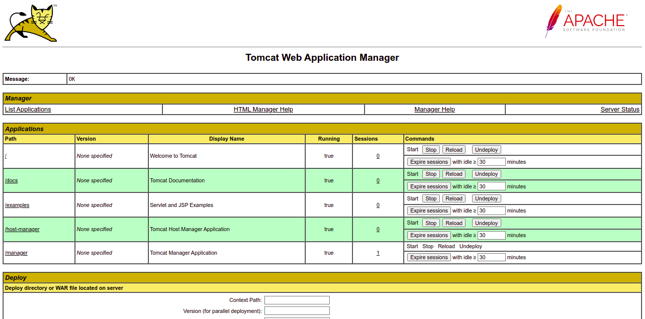 Apache Tomcat dashboard