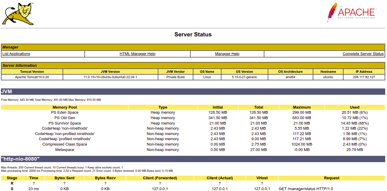 Tomcat Server Status