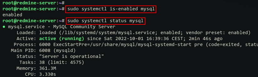 check mysql