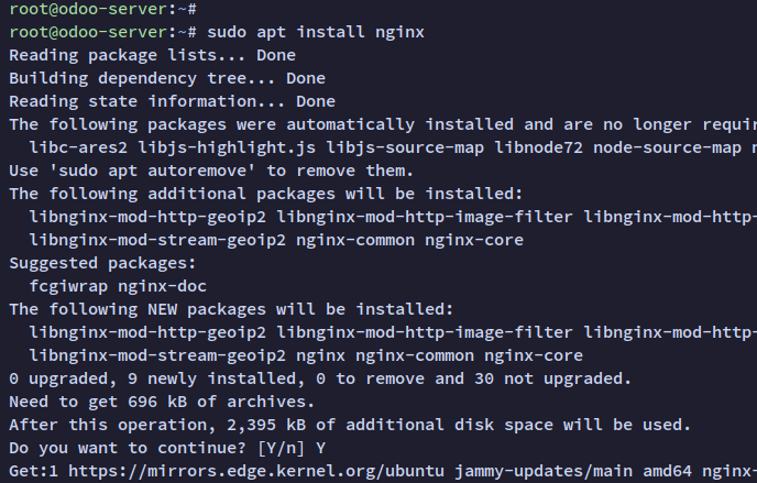 install nginx