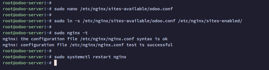 setup nginx reverse proxy