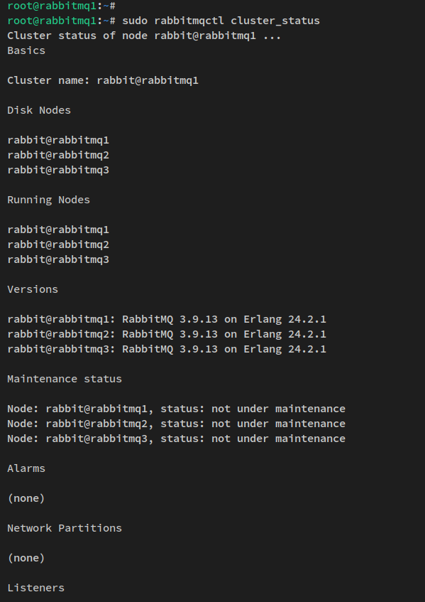 rabbitmq cluster status