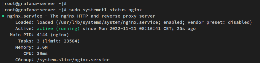 verify nginx