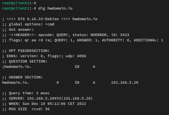 verify domain from client