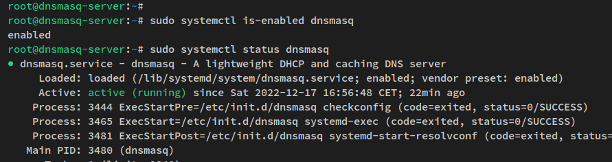 verify dnsmasq