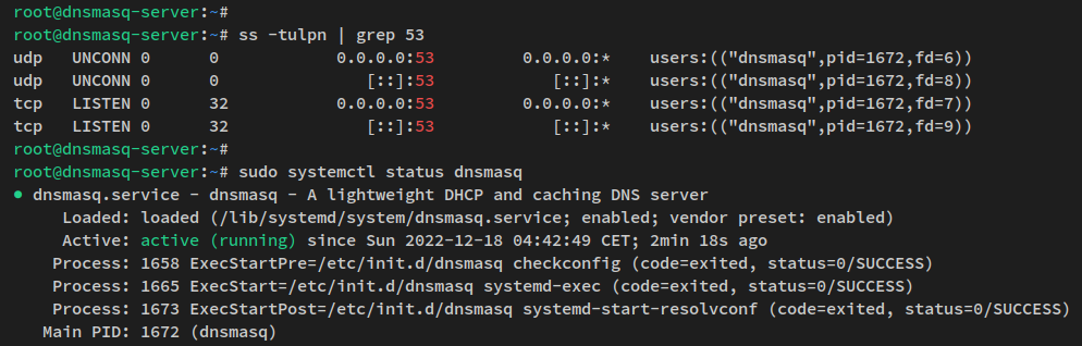 verify dnsmasq service