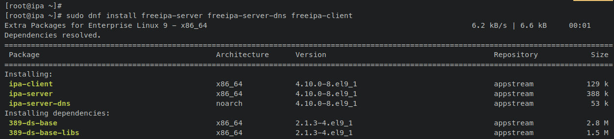 Install FreeIPA Server