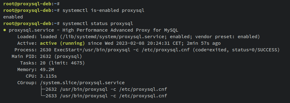 proxysql status