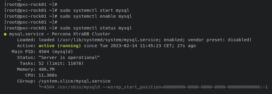 verify mysql service