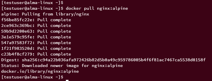 docker pull download image