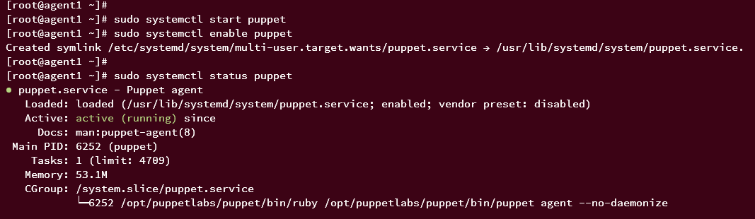 checking puppet service