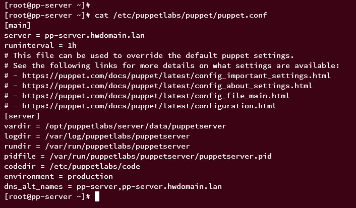 generated configuration puppet server
